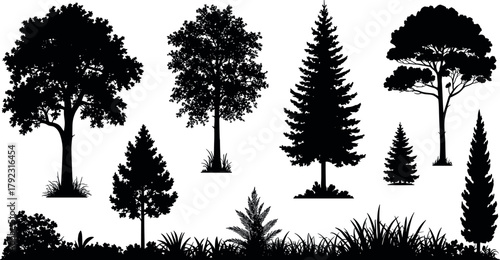 Diverse Forest and Garden Tree Silhouettes Vector Set