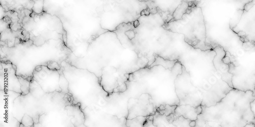 abstract interior beautiful black and white Carrara slab interior tiles gradient luxury ceramic wall and floor kitchen texture background	
