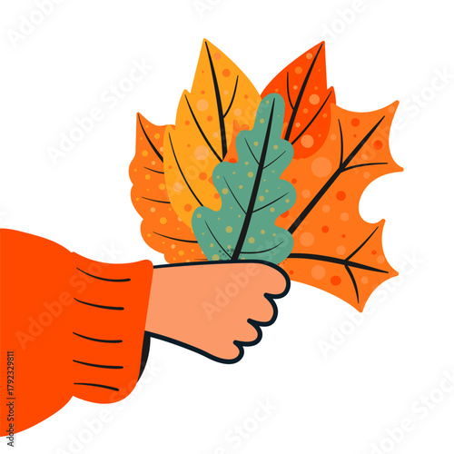 Hand holding a bouquet of autumn leaves. Isolated vector illustration.