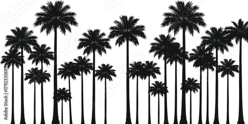 Palm tree silhouettes, tropical forest scene, black vector trees, coastal nature design, summer foliage, exotic landscape elements, beach illustration