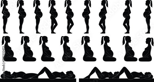 Pregnancy silhouette stages, woman profile belly growth, maternity illustration, female body changes, educational medical design, motherhood concept vector art
