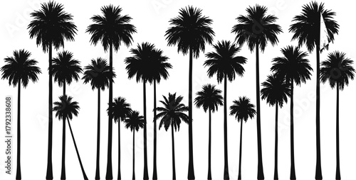 Palm tree silhouettes, tropical nature scene, black vector trees, coastal landscape design, summer foliage, exotic forest elements, beach illustration