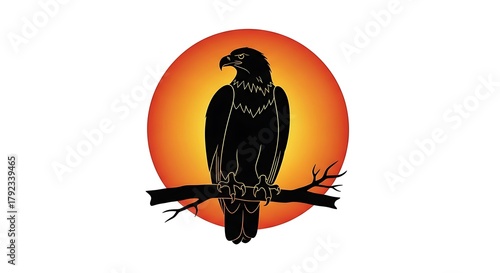 eagle sitting on the branch and sunset