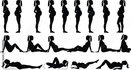 Pregnancy silhouette stages, woman profile belly growth, maternity illustration, female body changes, educational medical design, motherhood concept vector art