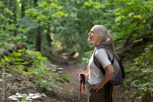 senior woman  with gray hair  with walking sticks and a backpack enjoying the  landscape standing on in the summer forest. copy space. mental health. Slow life.  