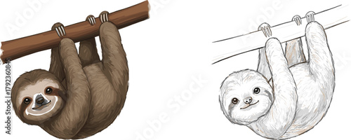 Two cute sloths hanging upside down, brown and white fur cartoon animals, playful tree branch illustration for children’s books, fun graphics