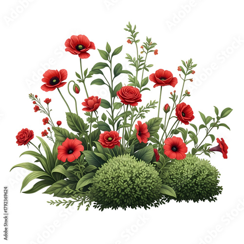 Vibrant red poppies bloom in lush green garden setting