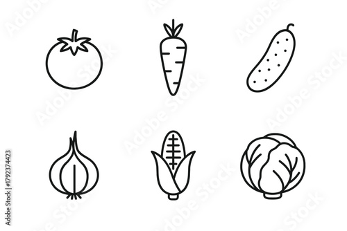 Outlined icons of tomato, carrot, cucumber, onion, corn, and cabbage