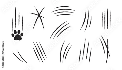 Claw marks vector set animal scratch track isolated on white