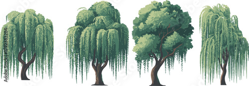 Weeping willow tree illustration, lush green foliage, nature landscape art, botanical design, elegant tree drawing, natural environment, forest vegetation, eco concept