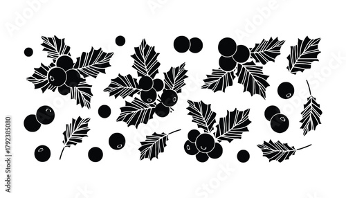 Holly berry christmas vector illustration holiday season art