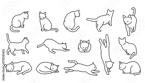 Cat poses vector illustration cute kitten line art drawing set