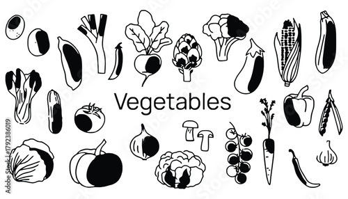 Vegetables illustration fresh food healthy eating colorful art