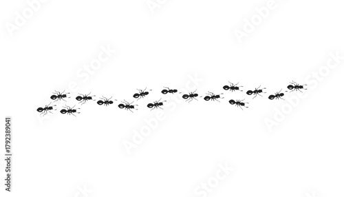 Ant colony on white background insect pest control concept