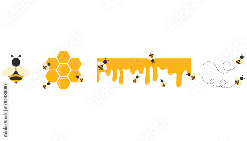 Honeycomb honey bee vector illustration graphic design set
