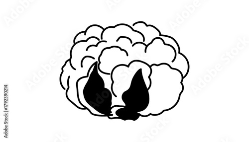 Cauliflower vegetable healthy food fresh produce white head diet