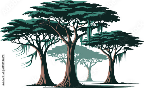 Beautiful acacia trees illustration, African savanna landscape, natural forest scene, tropical woodland design, green foliage art, wildlife environment, nature concept, scenic view