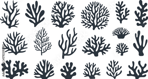 Coral reef silhouettes collection, underwater sea plant illustration, marine life design, ocean ecosystem art, tropical coral pattern, aquatic nature graphic