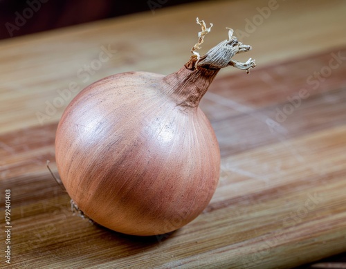Fresh Onion on Wooden Surface
