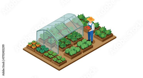 Isometric urban garden with greenhouse and farmer harvesting vegetables