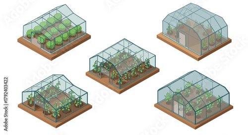 Isometric greenhouse designs with lush plants on wooden platforms