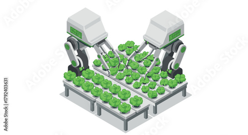 Isometric automated hydroponic farming with robots tending lettuce plants