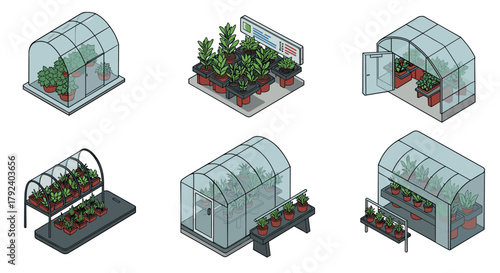 Isometric greenhouse set with lush potted plants and displays