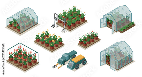 Isometric greenhouse and gardening elements with potted plants and farming tools