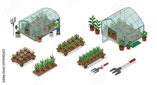 Isometric greenhouse plants and gardening tools collection for home horticulture and agriculture