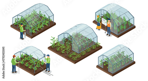 Isometric greenhouse gardening with diverse plant care and growth techniques