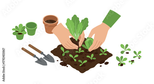 Hands planting seedlings in garden soil with gardening tools and pots in flat design