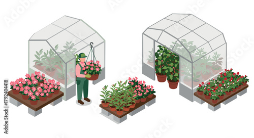 Isometric greenhouse gardening scene with diverse potted plants and gardener