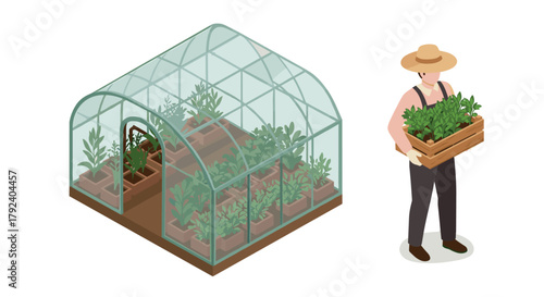 Isometric greenhouse with farmer holding fresh vegetables in crate