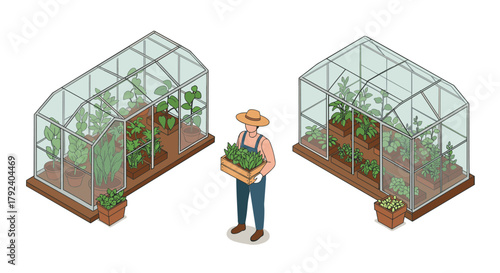 Urban gardening isometric greenhouses with farmer holding fresh produce