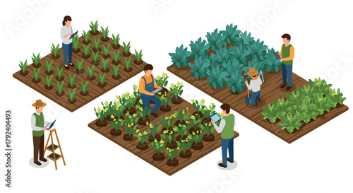 Isometric urban farming concept with diverse people tending to vegetable gardens