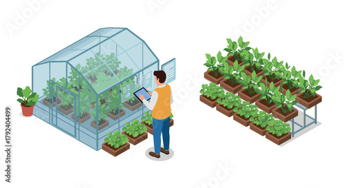 Smart greenhouse technology with hydroponic plants and digital monitoring