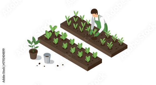 Gardener planting seedlings isometric urban garden scene