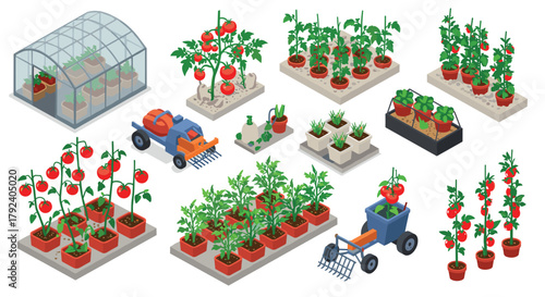Isometric garden icons hydroponic greenhouse and modern farming equipment