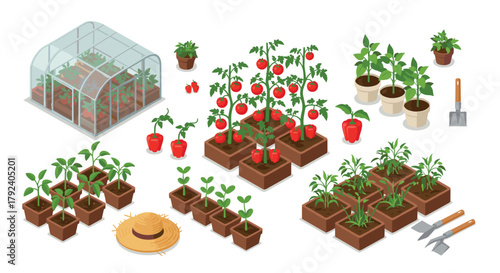 Isometric greenhouse and garden setup with vegetables and tools