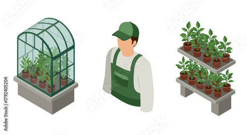 Greenhouse gardening scene with gardener and potted plants in isometric style