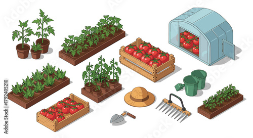 Isometric gardening setup with tomato plants in raised beds and greenhouse