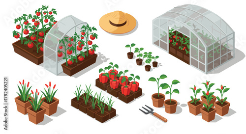 Isometric greenhouse garden with vegetables and gardening tools