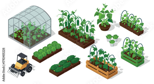 Isometric urban gardening set with greenhouse and planter boxes