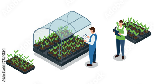 Isometric greenhouse farming concept with two professionals analyzing seedlings growth