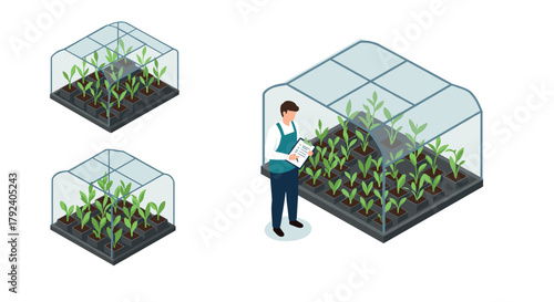 Isometric greenhouse with growing plants and gardener cartoons
