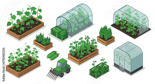 Isometric greenhouse and garden beds with vegetables and plants
