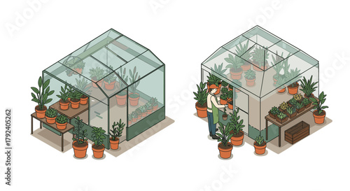 Isometric greenhouse scene with plants and gardener engaged in cultivation