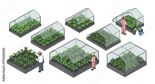 Isometric greenhouse farming urban agriculture with sustainable planting techniques