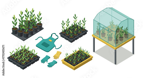 Isometric gardening set with seedlings, greenhouse, and tools for plant cultivation and growth