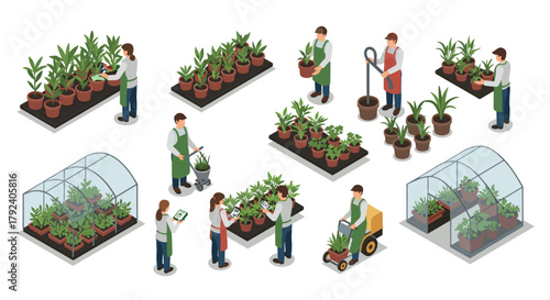 Isometric greenhouse gardening diverse activities and plant care scenes